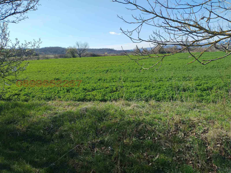 Продава ПАРЦЕЛ, с. Ивански, област Шумен, снимка 4 - Парцели - 52784306