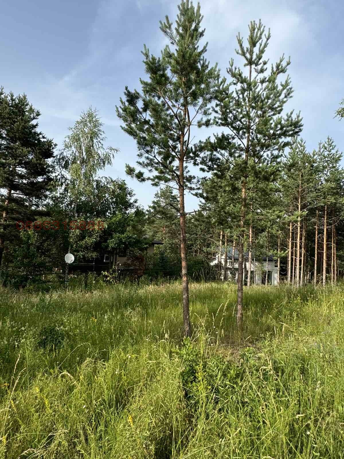 Продава ПАРЦЕЛ, гр. София, м-т яз. Искър, снимка 3 - Парцели - 55011837