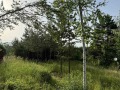 Продава  Парцел град София , м-т яз. Искър , 550 кв.м | 44458632 - изображение [8]