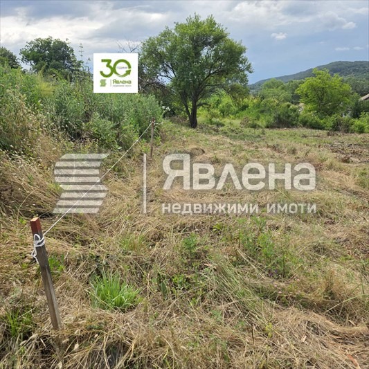 Продава ПАРЦЕЛ, с. Долище, област Варна, снимка 4 - Парцели - 55149777