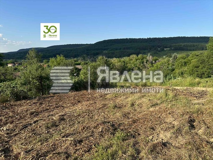 Продава ПАРЦЕЛ, с. Долище, област Варна, снимка 7 - Парцели - 55149777