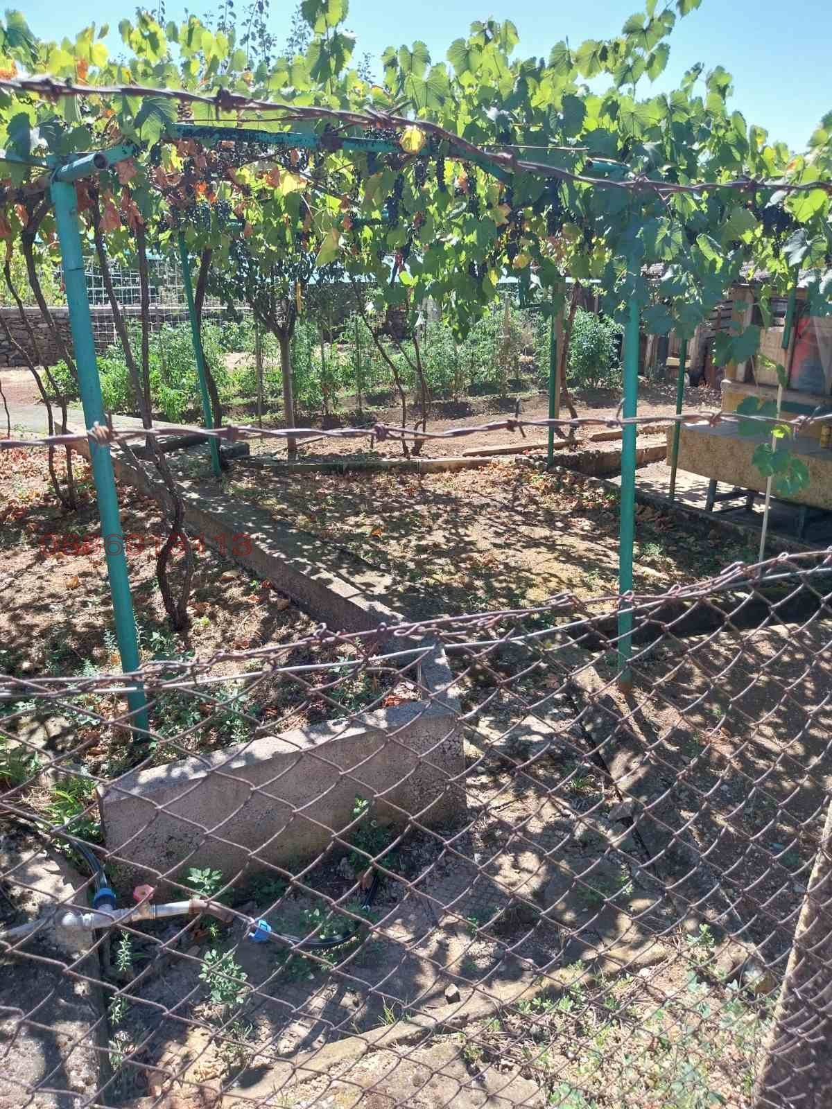 Продава КЪЩА, с. Лиляче, област Враца, снимка 6 - Къщи - 54261383