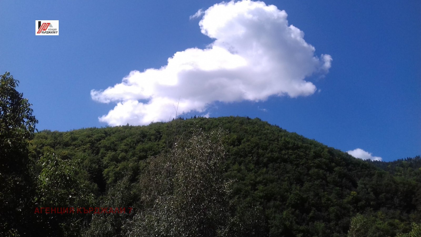 Продава КЪЩА, с. Петково, област Смолян, снимка 16 - Къщи - 54122226