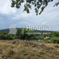 Продава  Парцел област Варна , с. Долище , 1428 кв.м | 18631499 - изображение [2]