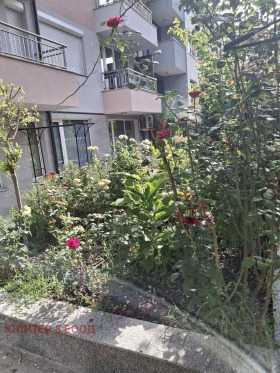 ����� ������� 3-�����,���� �����, ������