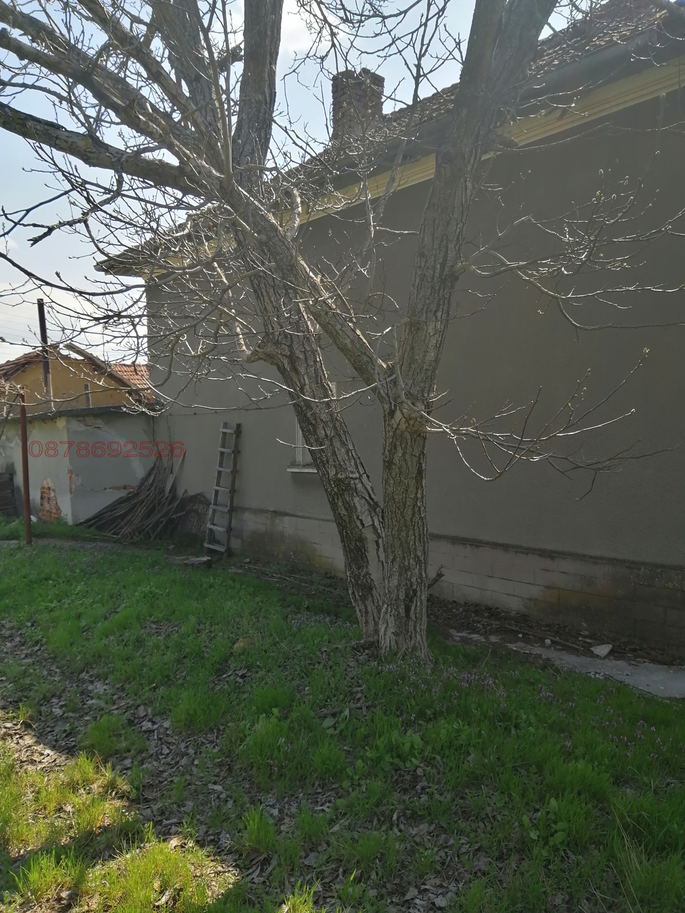 Продава КЪЩА, с. Горно Пещене, област Враца, снимка 6 - Къщи - 54145076