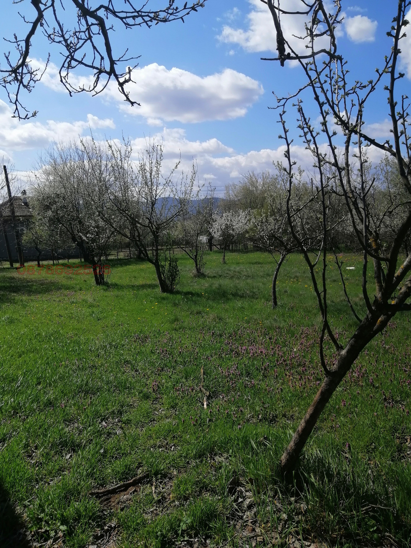 Продава КЪЩА, с. Горно Пещене, област Враца, снимка 5 - Къщи - 54145076