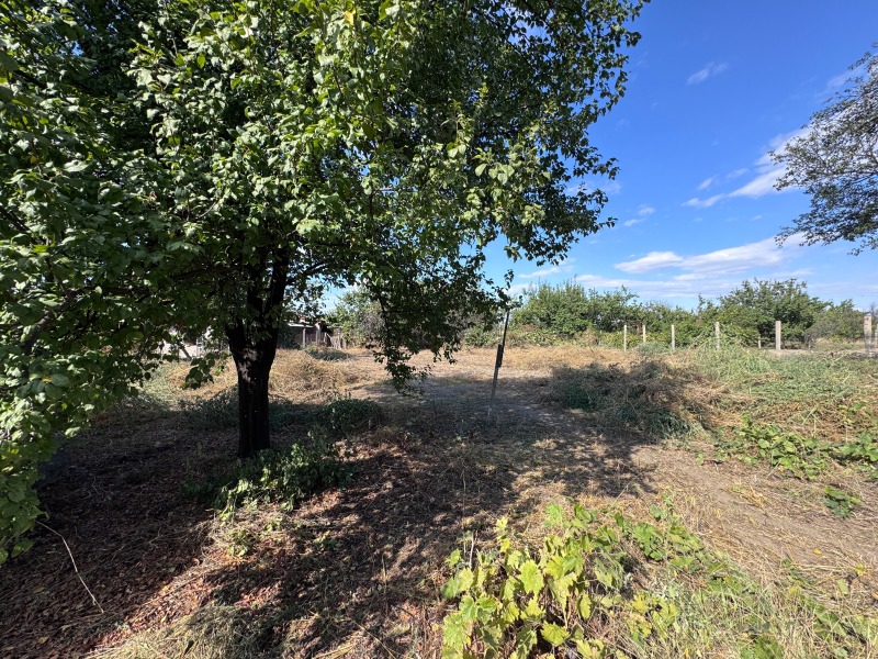 Продава КЪЩА, с. Кадиево, област Пловдив, снимка 14 - Къщи - 52131029