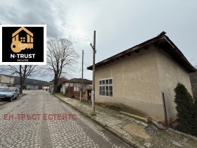 ������ ������� ����