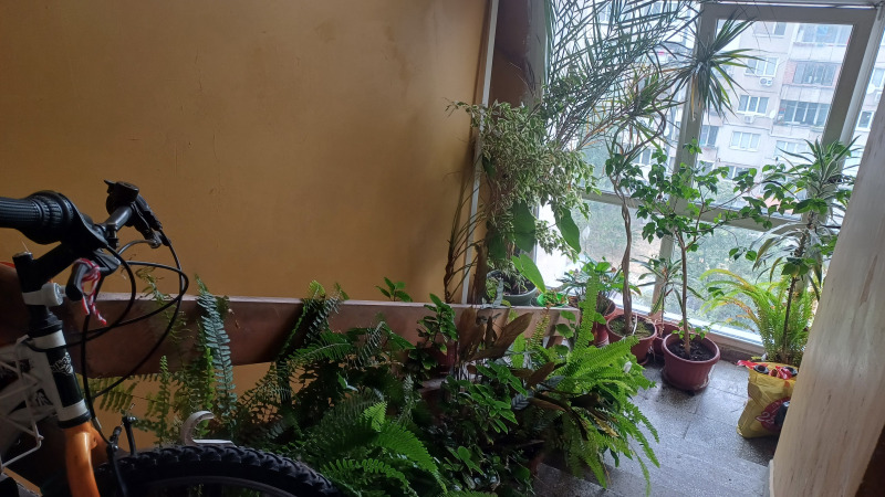 Продава  2-стаен град София , Разсадника , 61 кв.м | 36543833 - изображение [16]