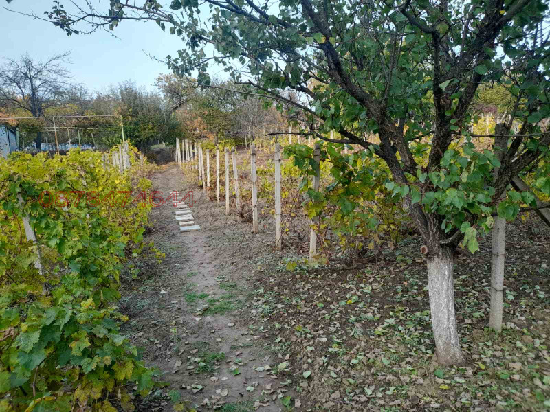 Продава ВИЛА, гр. Плевен, м-т Кожухарска чешма, снимка 13 - Вили - 52630872