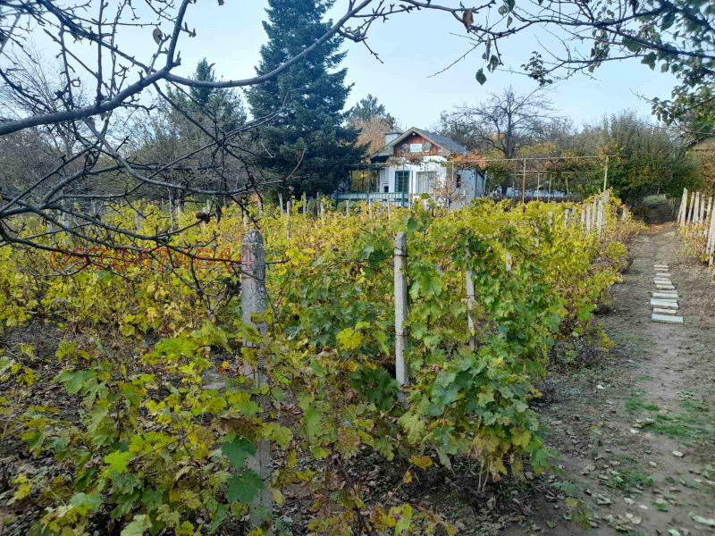 Продава ВИЛА, гр. Плевен, м-т Кожухарска чешма, снимка 12 - Вили - 52630872