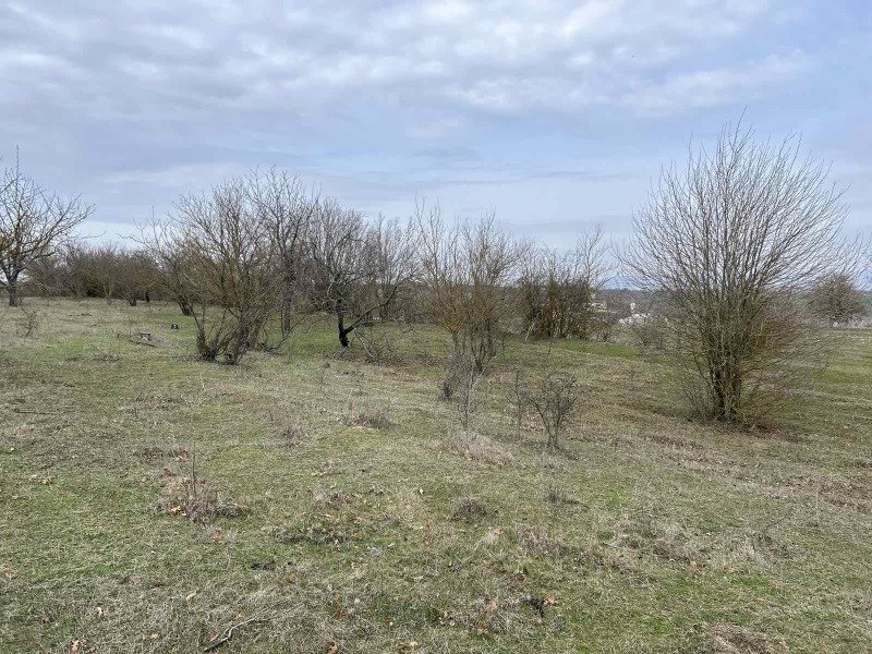 For Sale  Plot Varna , Konstantinovo , 1152 sq.m | 54611293 - image [2]