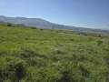 Продава ПАРЦЕЛ, област Перник, с. Големо Бучино • 35740 € • 93924321 — Holmes.bg