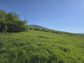 Продава ПАРЦЕЛ, област Перник, с. Големо Бучино • 35740 € • 93924321 — Holmes.bg