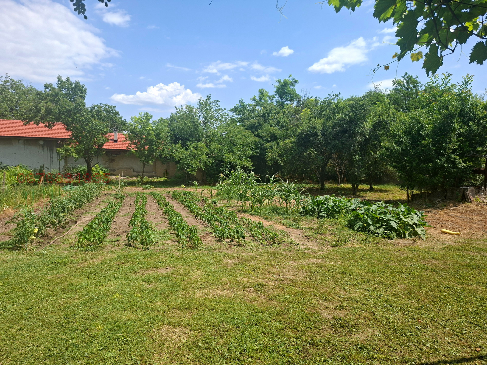������� ���� | Imot.bg � ����������� 10