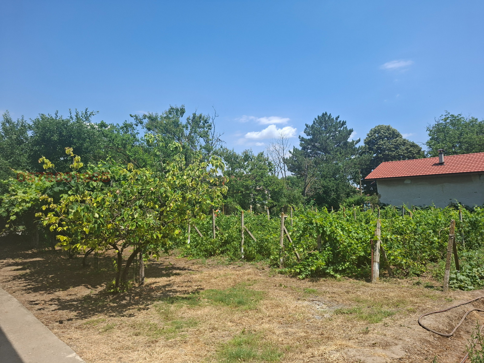������� ���� | Imot.bg � ����������� 16
