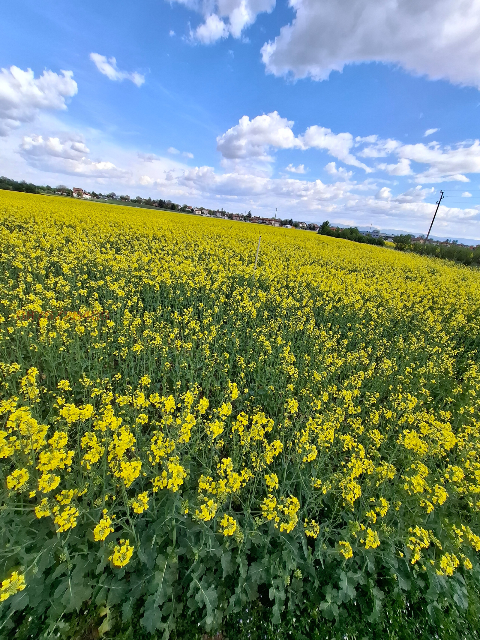 ������� ���������� ���� | Imot.bg � ����������� 3