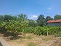 Продава КЪЩА, с. Новачене, област Плевен, снимка 16