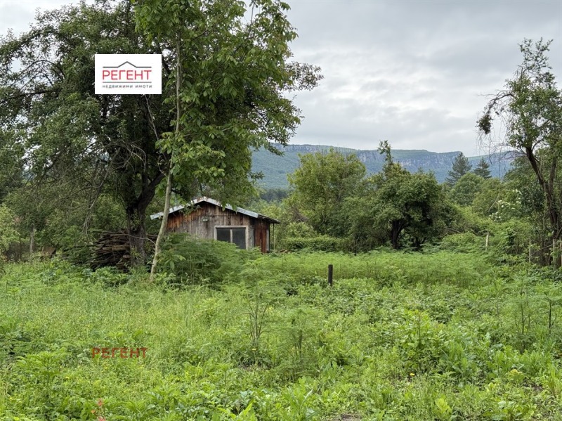 Продава КЪЩА в област Габрово, с. Яворец - 31 кв.м / 20 451.68 € » 40 000 лв., РЕГЕНТ