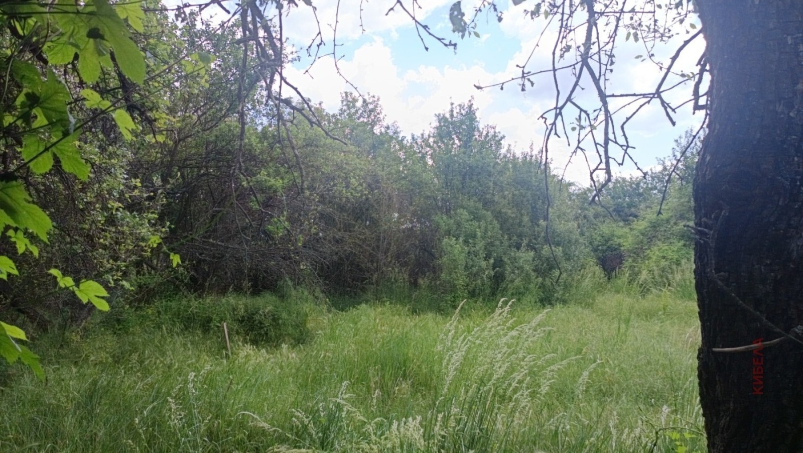 ������� ���� | Imot.bg � ����������� 4