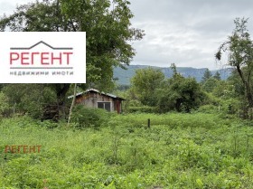 Hus Yavorets, region Gabrovo