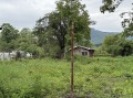 Продава КЪЩА, област Габрово, с. Яворец • 40000 лв. • 58676164 — Holmes.bg