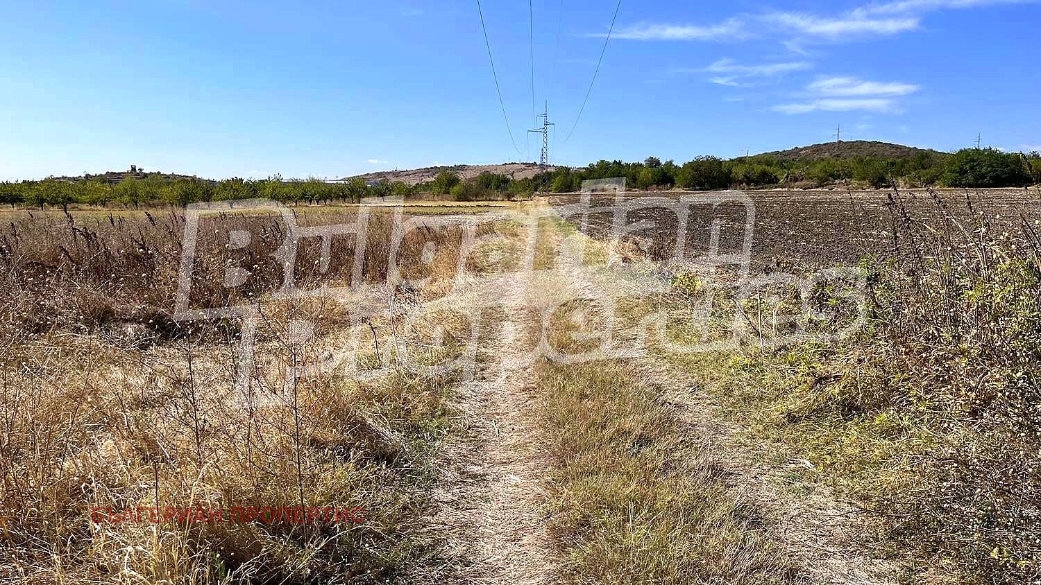 Продава ЗЕМЕДЕЛСКА ЗЕМЯ | Imot.bg — изображение 8