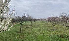 ������� ���� | Imot.bg � ����� ������ 6