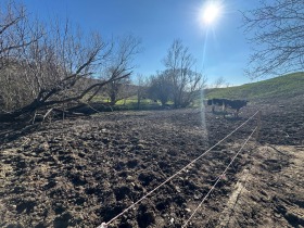 ������� ����� | Imot.bg � ����� ������ 7