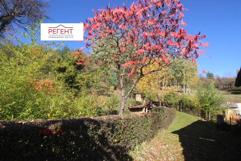 Продава КЪЩА, с. Дебел дял, област Габрово, снимка 4 - Къщи - 52296107