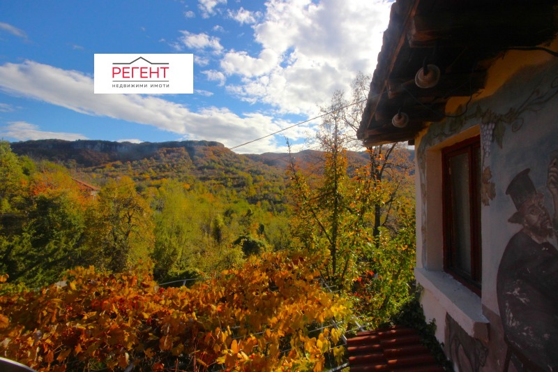 Продава КЪЩА, с. Дебел дял, област Габрово, снимка 12 - Къщи - 52296107