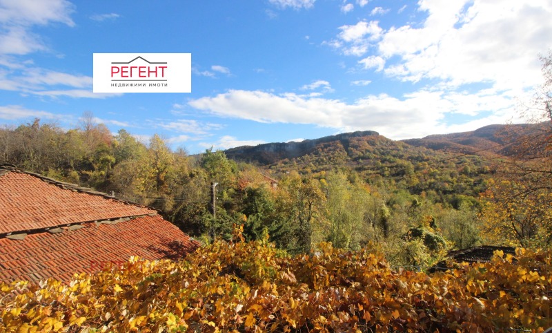 Продава КЪЩА, с. Дебел дял, област Габрово, снимка 11 - Къщи - 52296107