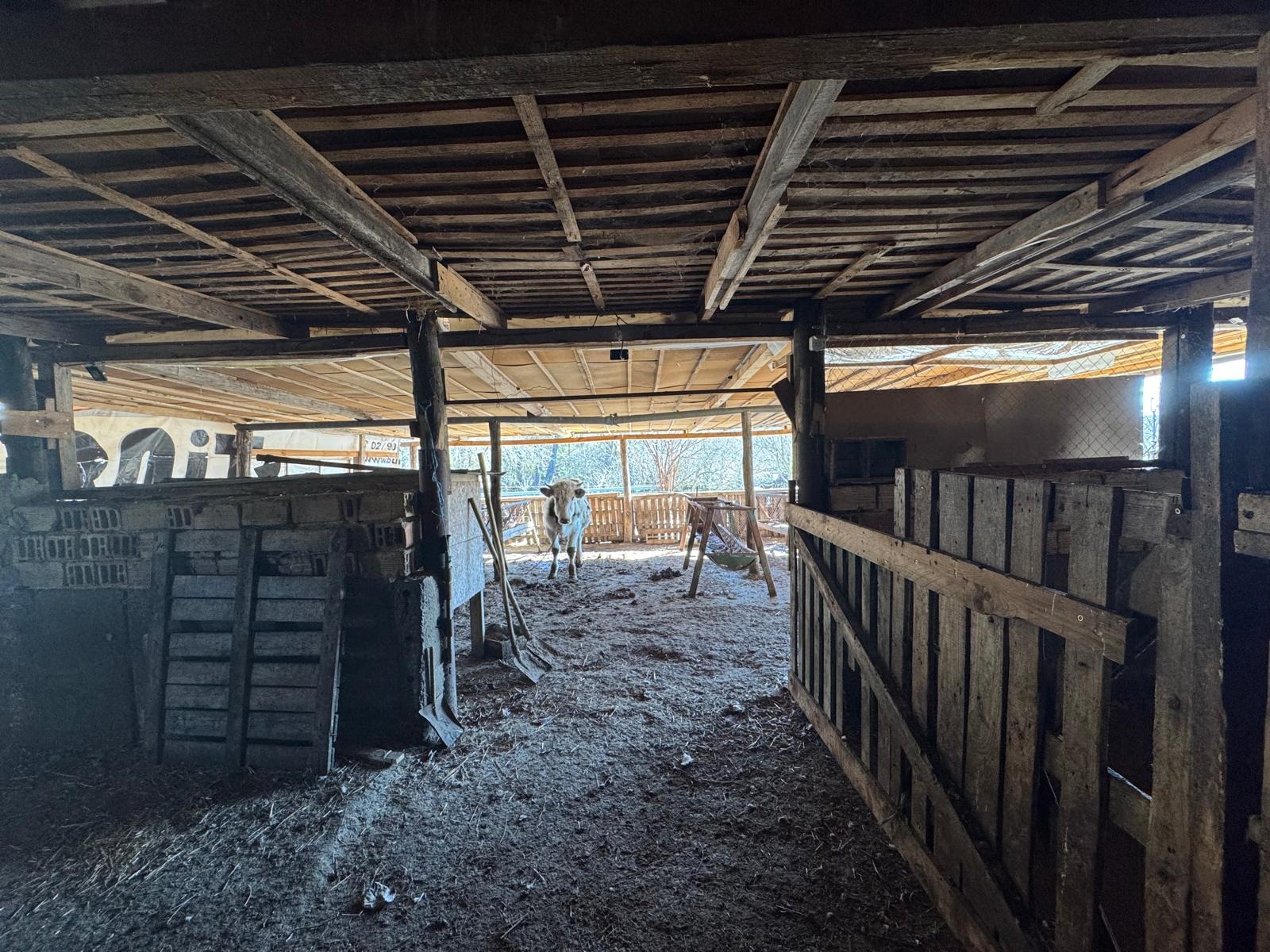 Продава БИЗНЕС ИМОТ, с. Велино, област Шумен, снимка 8 - Други - 53782890