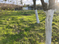 Продава ПАРЦЕЛ, с. Долна Вереница, област Монтана, снимка 1