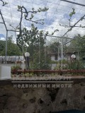 Продава КЪЩА, област Пловдив, с. Гълъбово • 144900 € • 78132324 — Holmes.bg