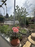 Продава КЪЩА, област Пловдив, с. Гълъбово • 144900 € • 78132324 — Holmes.bg