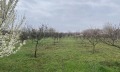 Продава КЪЩА, област Видин, с. Капитановци • 65000 € • 89348311 6