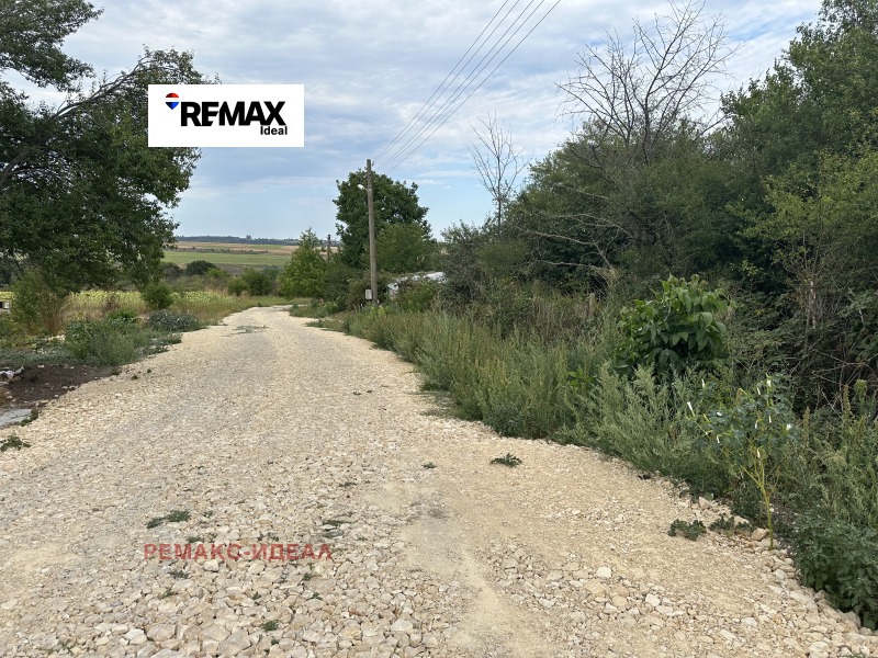 Na sprzedaż  Działka region Warny , Rawna gora , 900 mkw | 34628909 - obraz [4]