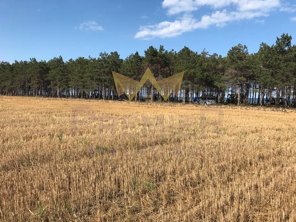 Продава ПАРЦЕЛ, с. Крапец, област Добрич, снимка 6 - Парцели - 54066377