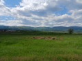Продава КЪЩА, с. Рельово, област София област, снимка 7