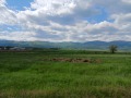 Продава КЪЩА, с. Рельово, област София област, снимка 6