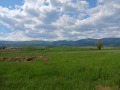 Продава КЪЩА, с. Рельово, област София област, снимка 1