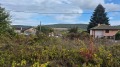 Продава ПАРЦЕЛ, с. Осеново, област Варна, снимка 2