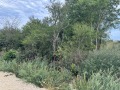 Продава ПАРЦЕЛ, област Варна, с. Равна гора • 45000 € • 94000158 — Holmes.bg