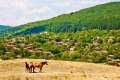 Продава  Земеделска земя област Бургас , с. Раклиново , 26.465 дка | 16123498