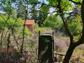 Парцел град София, с. Панчарево 3