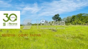 Парцел с. Бенковски, област Варна 2