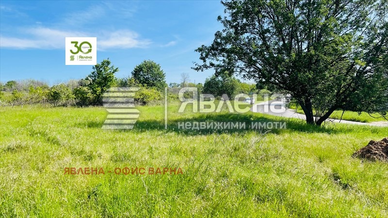 Продава ПАРЦЕЛ, с. Бенковски, област Варна, снимка 2 - Парцели - 49120807