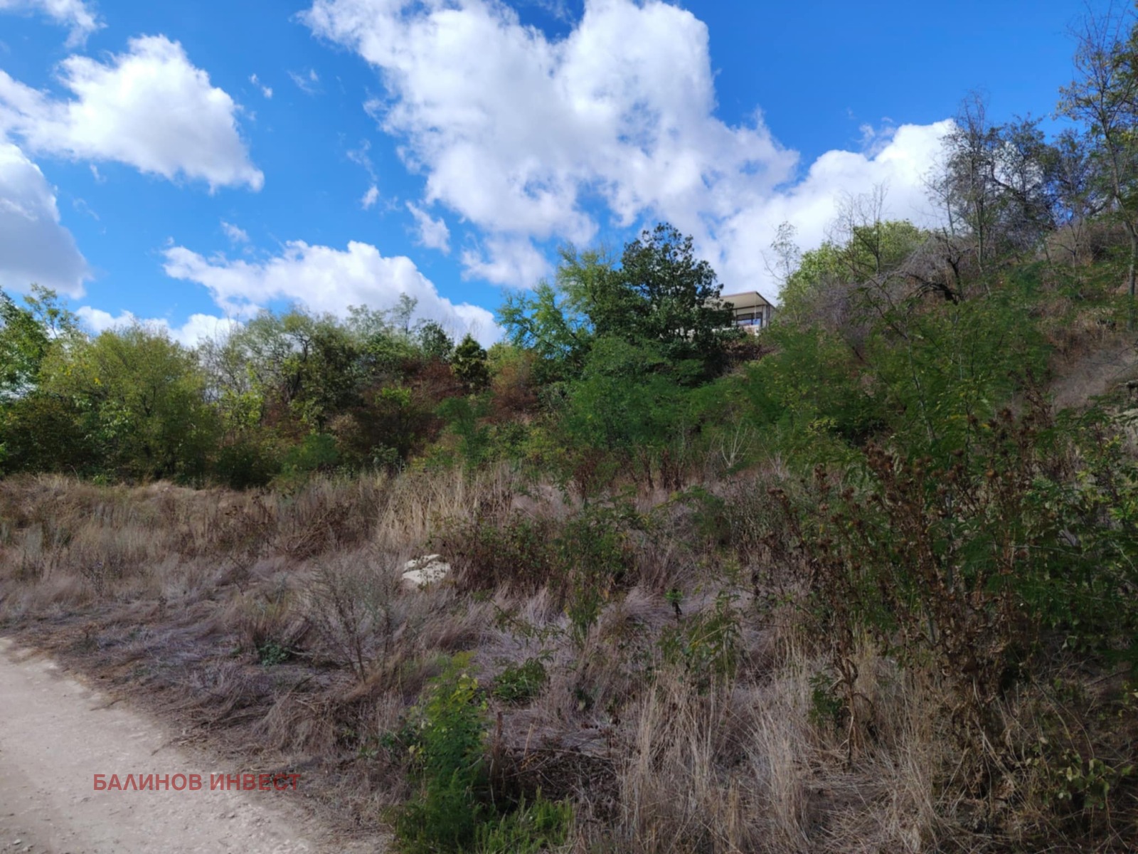 ������� ������ | Imot.bg � ����������� 8